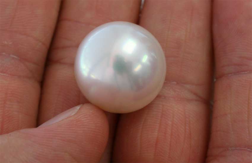 Una grossa perla coltivata