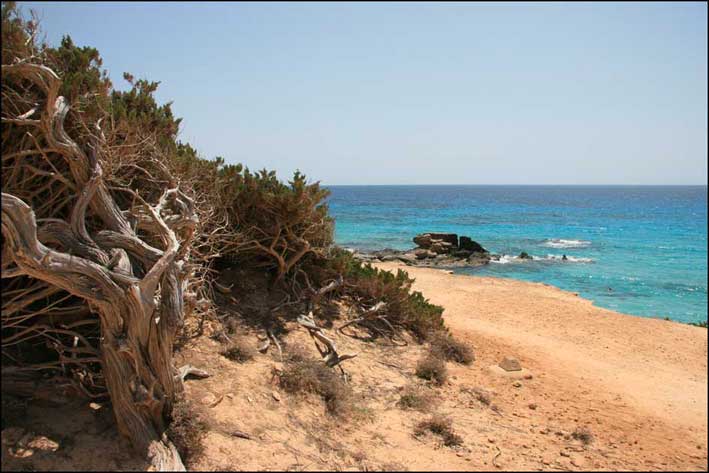 Spiaggia a Formentera