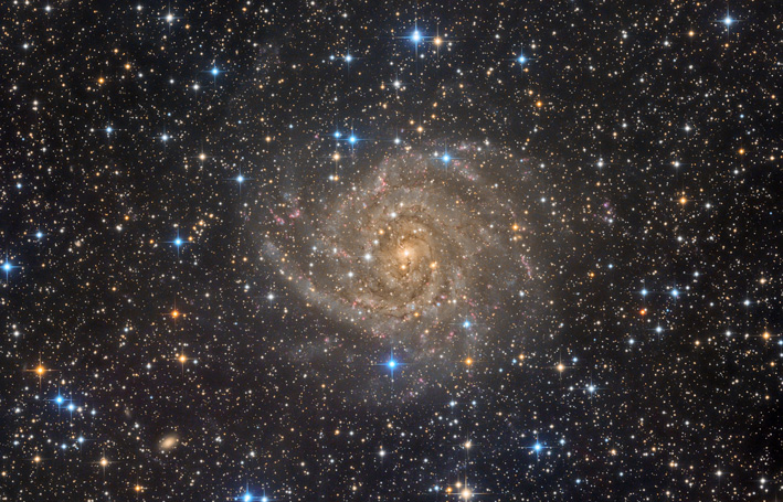 La galassia IC 342, a 10 milioni di anni luce dalla costellazione della Giraffa 