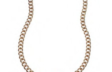 Lion Chain Necklace 999€