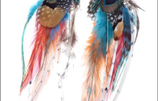 CLAIRES Multi Coloured Feather Earrings 14