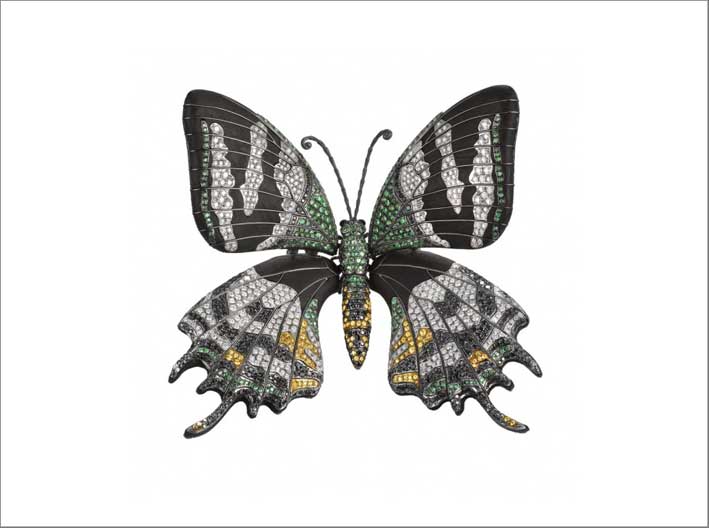 Spilla a forma di farfalla Teinopalpus Aureus 