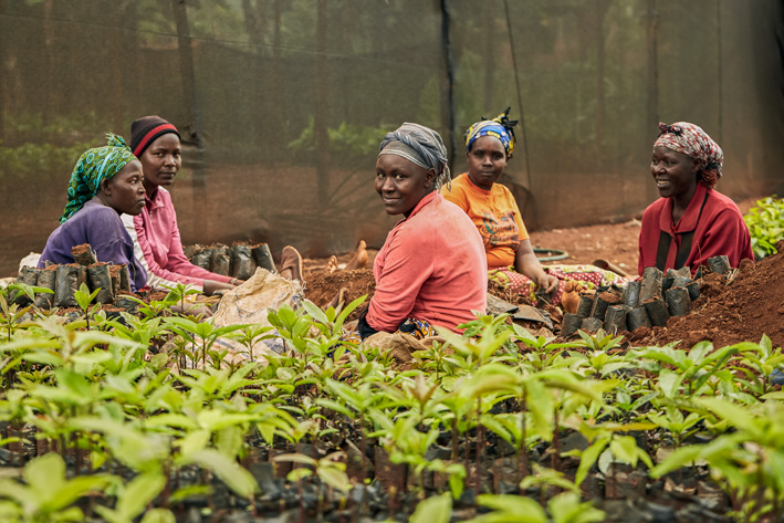 Donne impegnate nella raccolta di frutta in Kenya
