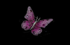 Angel Butterfly Brooch, zaffiri rosa e viola, diamanti
