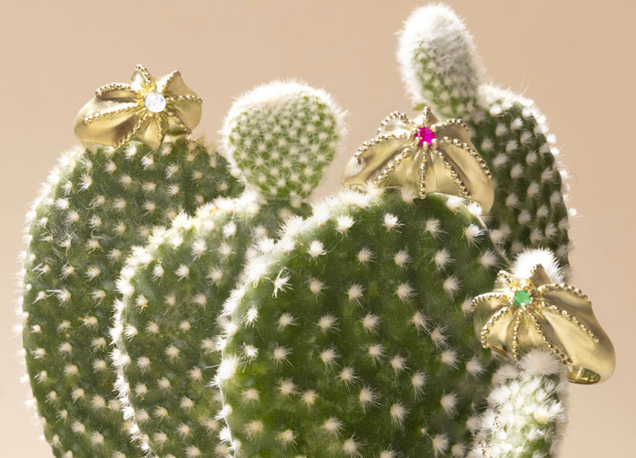 Anelli della collezione Cactus