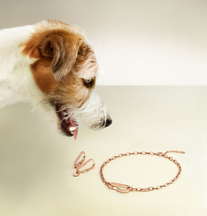 Fox terrier con orecchini e collana a moschettone
