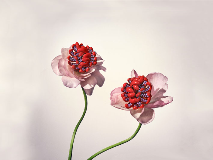 Chrysanthemum Earrings are hand crafted from 18K rose gold and red enamel with purple sapphire pavé