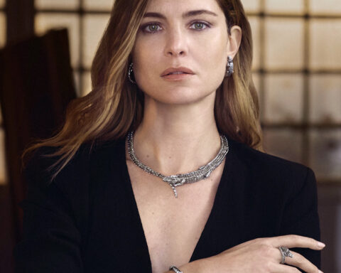 Set Coccodrillo in argento